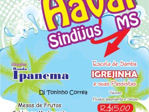 banner - Baile do havai 2015